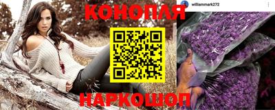 спайс Шелехов