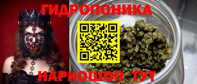 дживик Шебекино