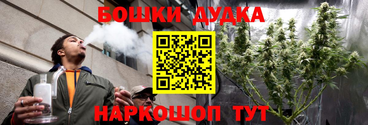 Бошки Шишки планчик Борзя