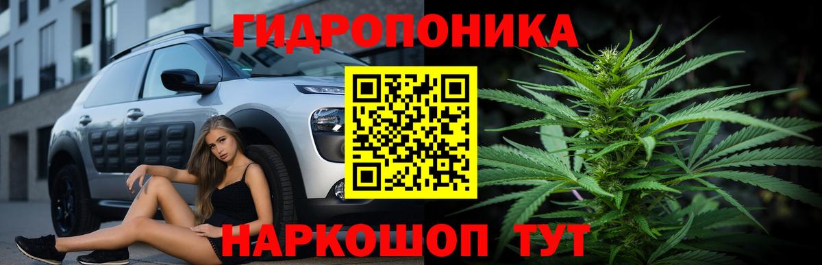 Марихуана планчик  Марихуана MAZAR  Борзя  Каннабис план  Вход с VPN 